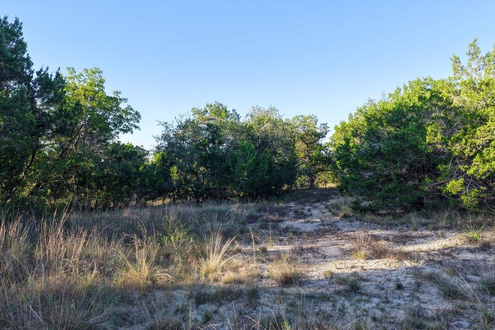 14715  Hornsby Hill Rd photo 3