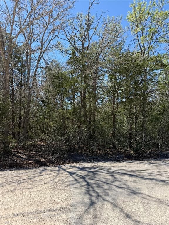 Lot 538  Iva Ln