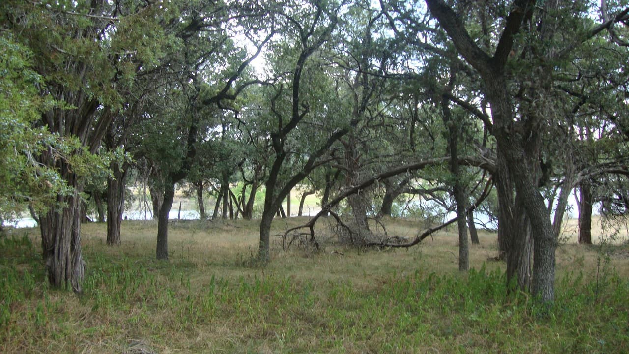 6703  Bar K Ranch Rd