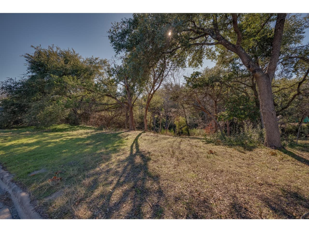 11624  February Dr photo 3