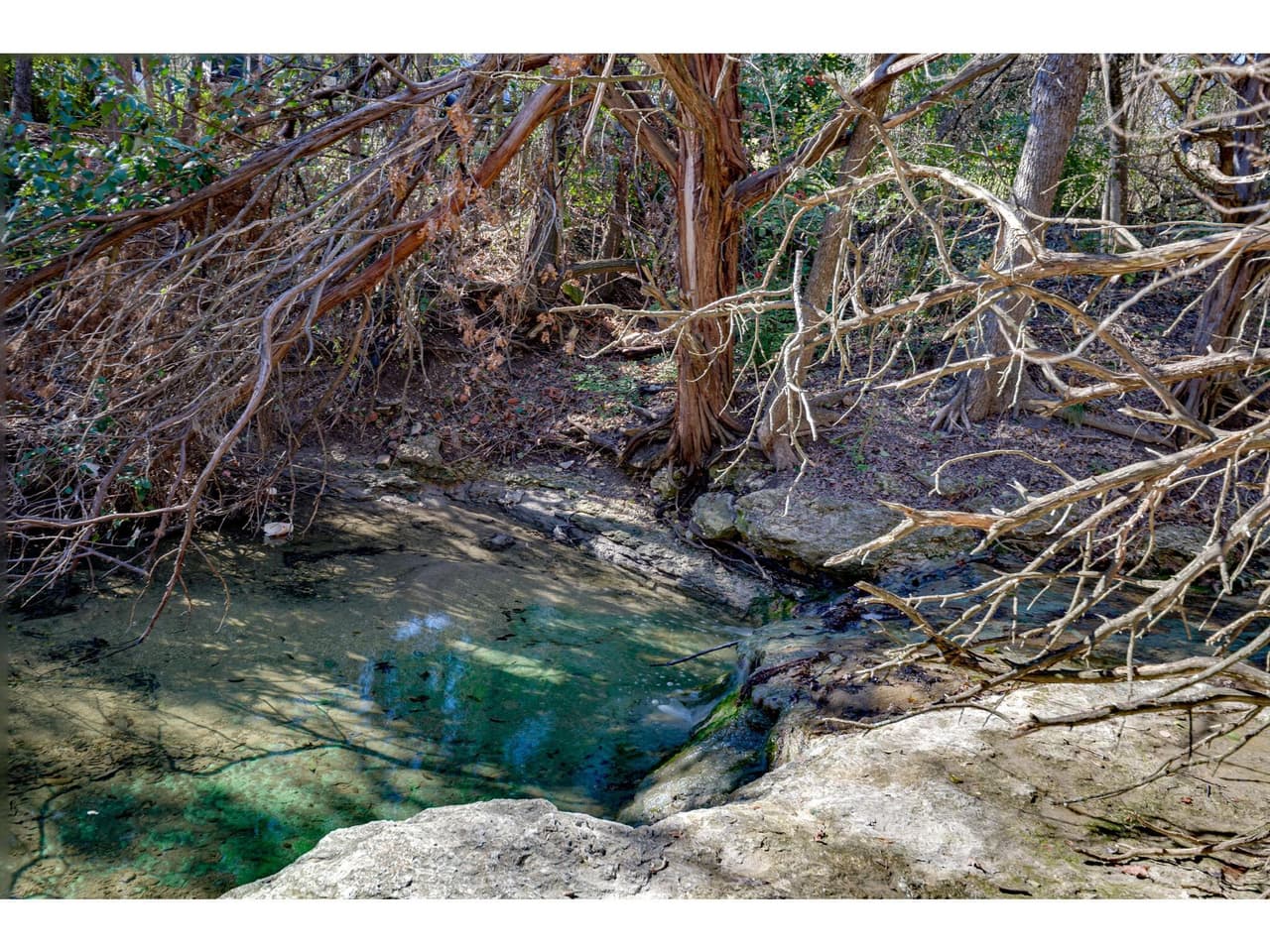 11624  February Dr photo 5