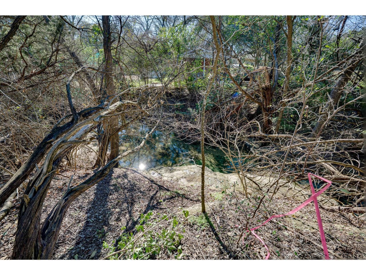 11624  February Dr photo 6