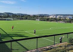4155  Bee Creek Rd photo 5