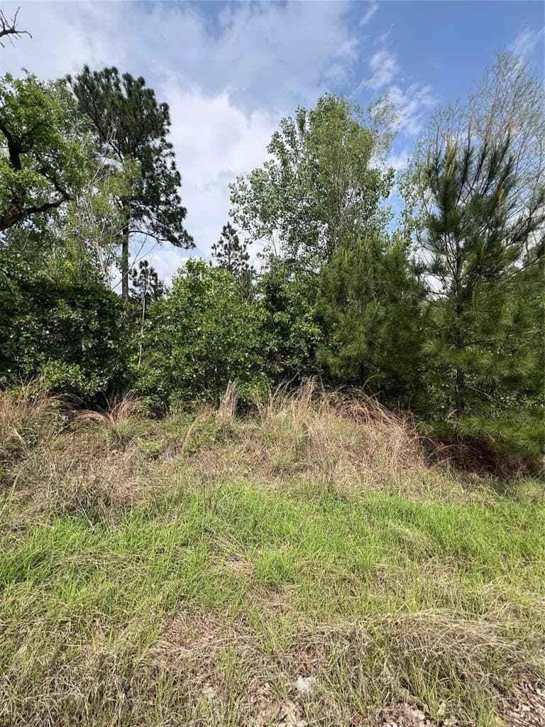 TBD  Monku Ct